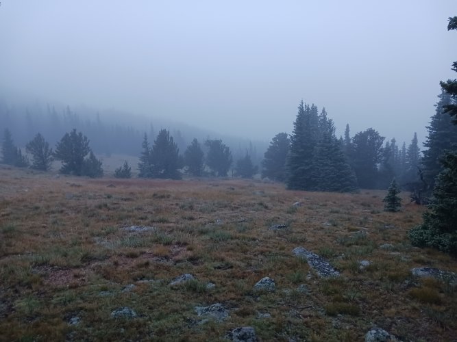 20220910_063953.jpg 20220910_063953.jpg