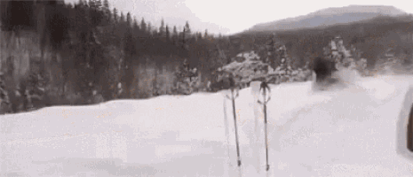5B205EC4-46A5-49F8-AB49-A5D2DB434528.gif 5B205EC4-46A5-49F8-AB49-A5D2DB434528.gif