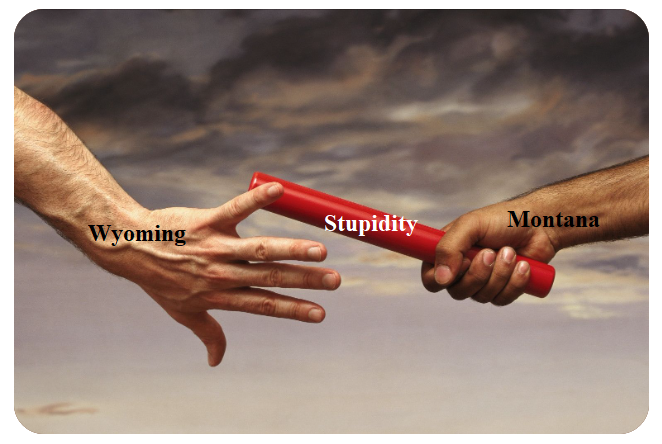 Stupidity.png Stupidity.png