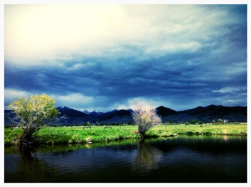 ashley's pond.jpg