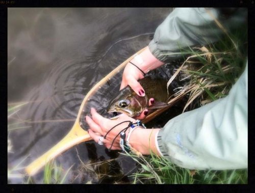 jasmine's rainbow.jpg