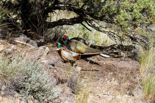 EC'13-5139.jpg EC'13-5139.jpg