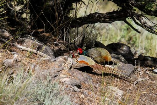 EC'13-5143.jpg EC'13-5143.jpg