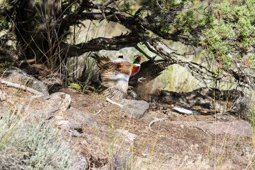 EC'13-5145.jpg EC'13-5145.jpg