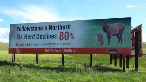 RMEF Art Board small.jpg