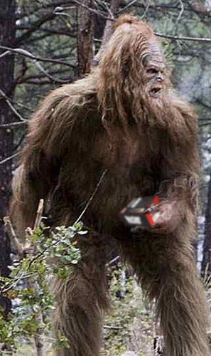 bigfoot_wALR.jpg
