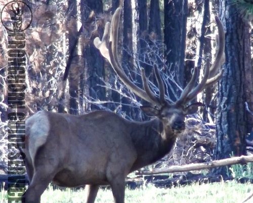 Screen Shot 2013-06-29 at 10.06.15 AM.jpg