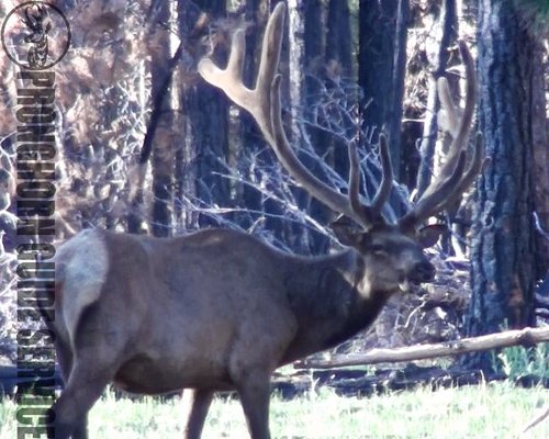 Screen Shot 2013-06-29 at 10.06.36 AM.jpg