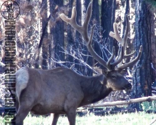 Screen Shot 2013-06-29 at 10.06.45 AM.jpg