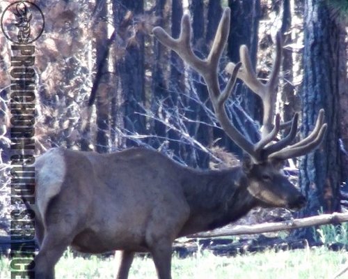 Screen Shot 2013-06-29 at 10.06.49 AM.jpg