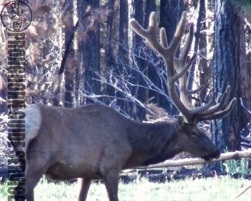 Screen Shot 2013-06-29 at 10.06.58 AM.jpg