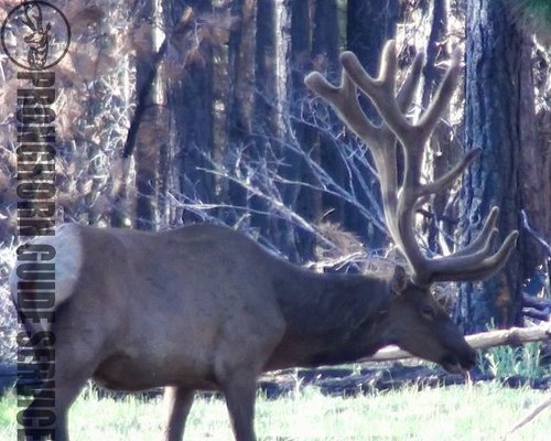 Screen Shot 2013-06-29 at 10.07.03 AM.jpg