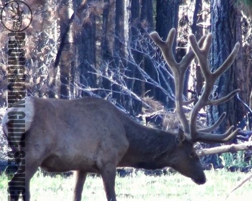 Screen Shot 2013-06-29 at 10.07.09 AM.jpg