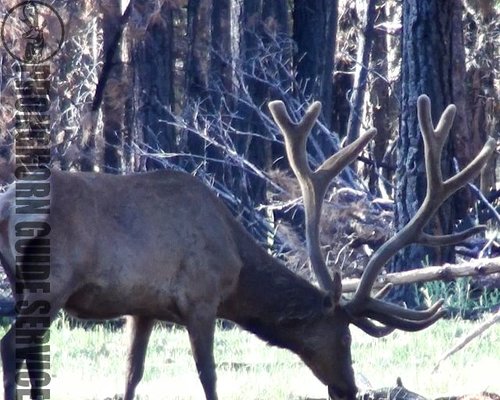 Screen Shot 2013-06-29 at 10.07.25 AM.jpg