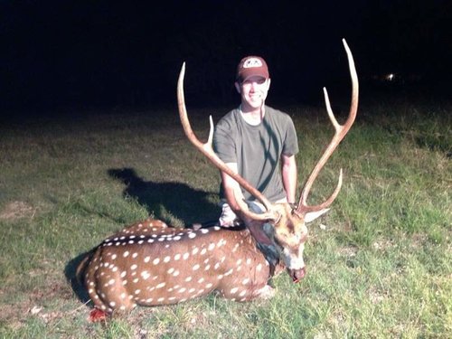 Axis Buck low qual.jpg Axis Buck low qual.jpg
