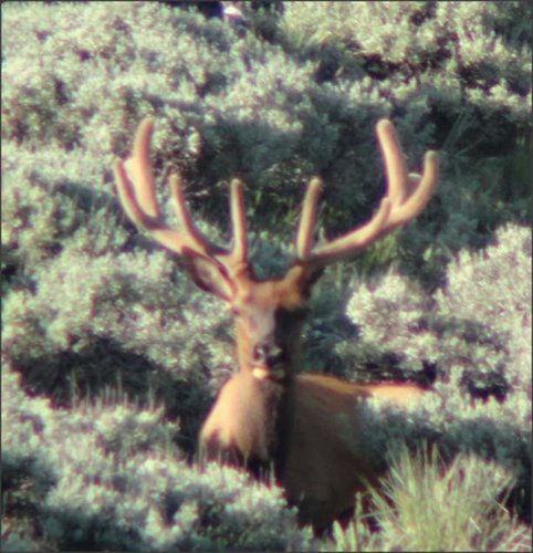 Snap 2013-07-01 at 06.35.13.jpg