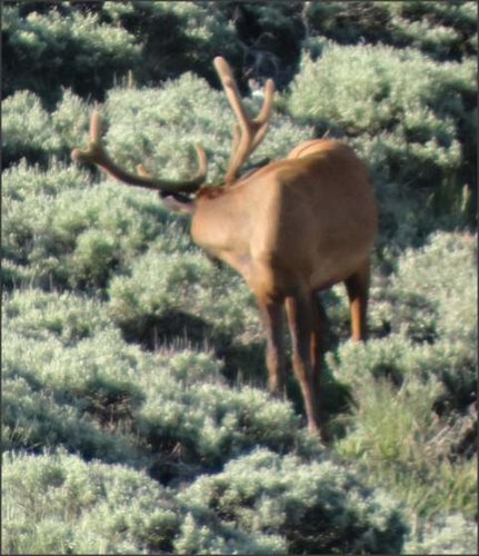 Snap 2013-07-01 at 06.36.19.jpg