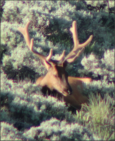 Snap 2013-07-01 at 06.35.39.png