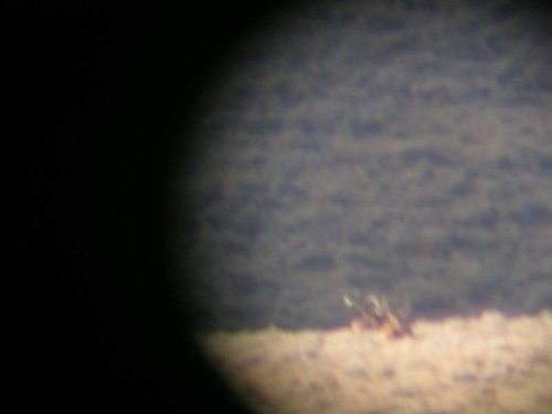 Montana October 19- Nov 1 2012 023.jpg