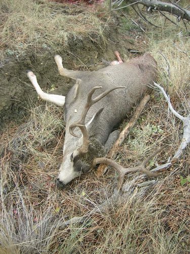 Montana October 19- Nov 1 2012 066.jpg
