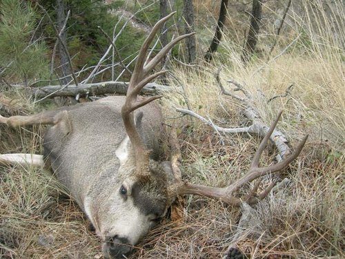 Montana October 19- Nov 1 2012 073.jpg