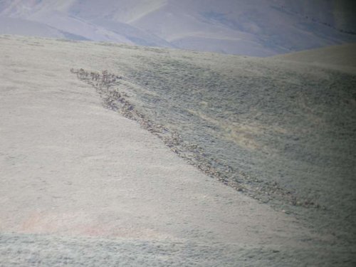 Montana October 19- Nov 1 2012 012.jpg