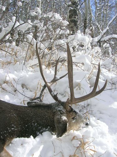 Colorado Nov 7th-11th 2012 032.jpg