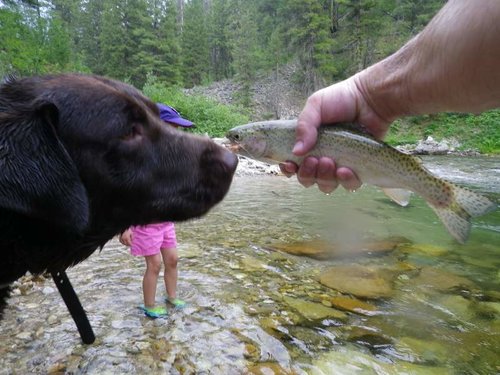 Kenzie and NF Boise 2013 116.jpg