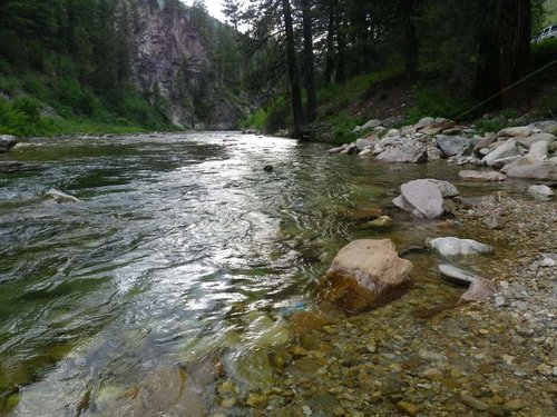 Kenzie and NF Boise 2013 114.jpg