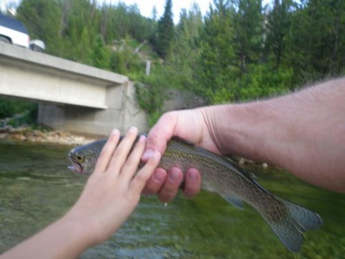 Kenzie and NF Boise 2013 127.jpg