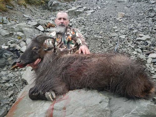 tahr hunt 005.jpg