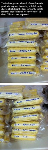corn.jpg