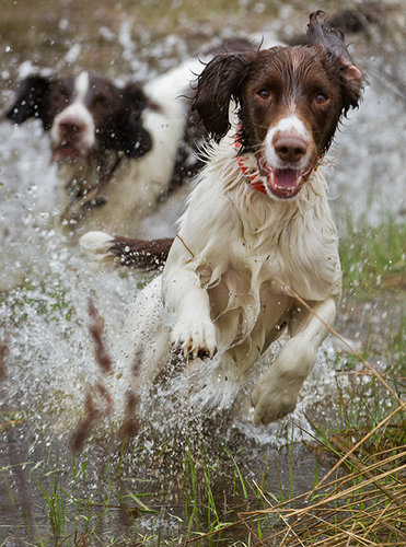 Splash Flash Water Test 042411-22.jpg