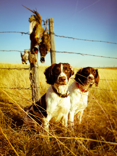 Kansas 2011-52.jpg
