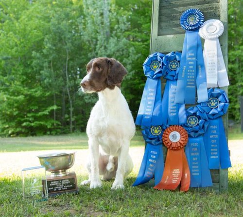 Bokeh with Trophy-8.jpg