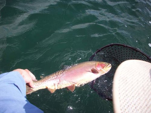 100_1416.jpg 100_1416.jpg