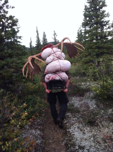 moosemeat.jpg moosemeat.jpg