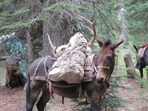 IMG_0246.JPG IMG_0246.JPG