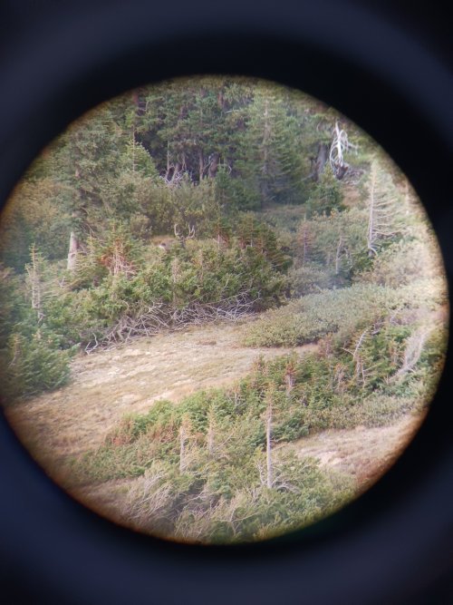 20220917_152113.jpg 20220917_152113.jpg