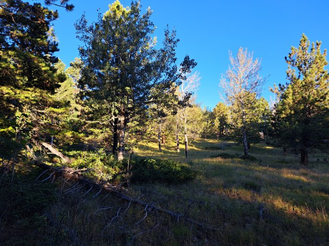 20220918_072925.jpg 20220918_072925.jpg