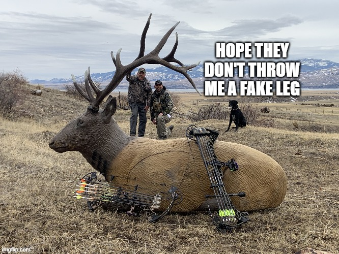 1663778066206.png
