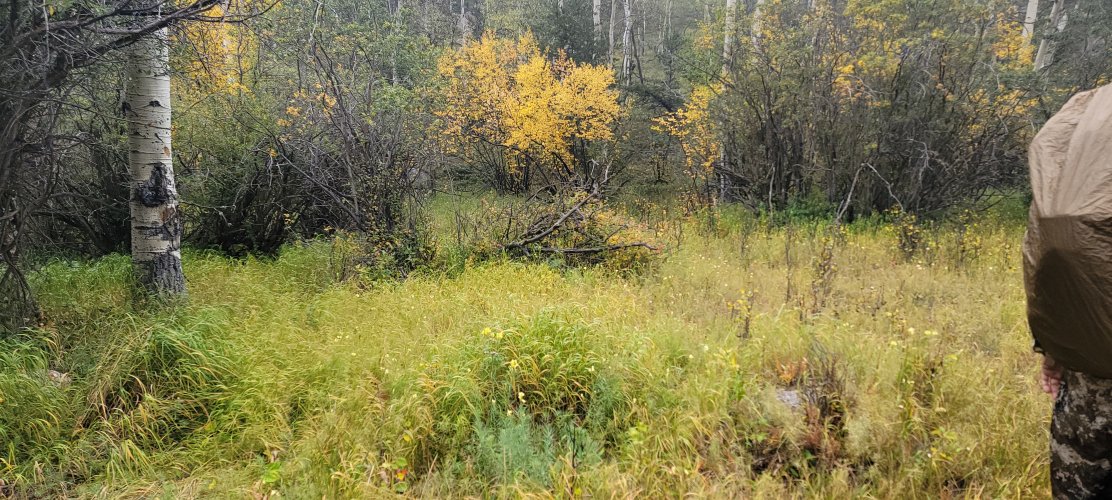 20220921_154559.jpg 20220921_154559.jpg