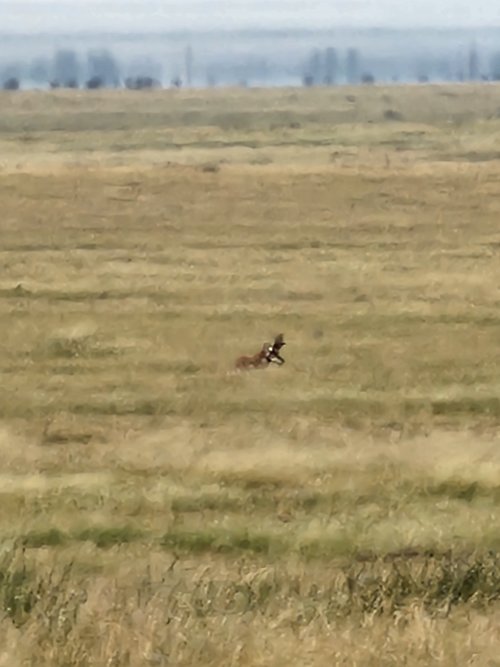 20220921_124657.jpg 20220921_124657.jpg