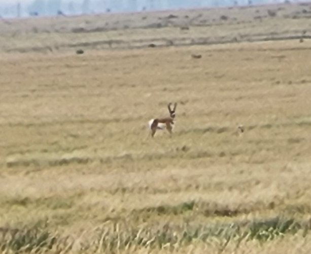 20220921_130407.jpg 20220921_130407.jpg