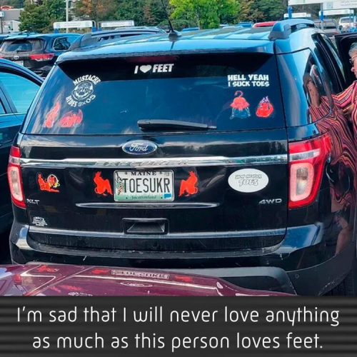 1663849952567.png 1663849952567.png