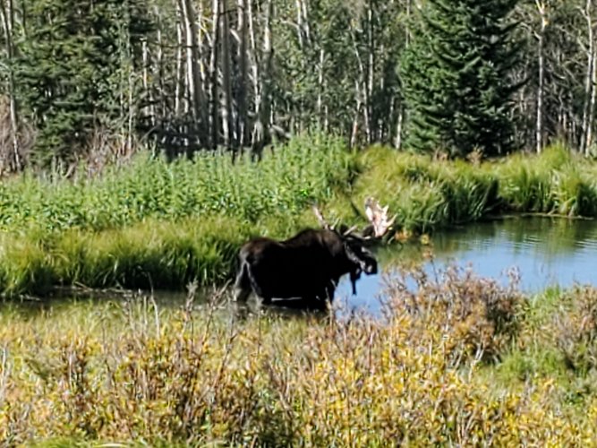 20220909_101035.jpg 20220909_101035.jpg