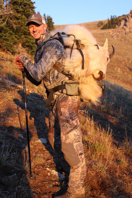 Mt goat Pete 2014.JPG Mt goat Pete 2014.JPG