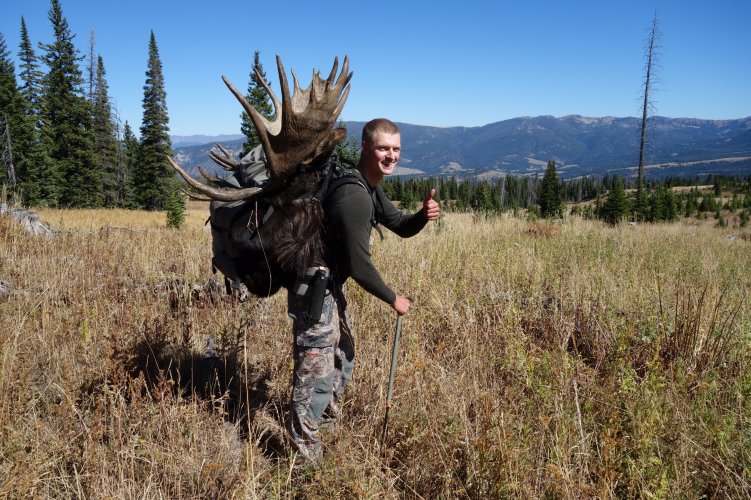 Mt moose Pete 2015.JPG Mt moose Pete 2015.JPG
