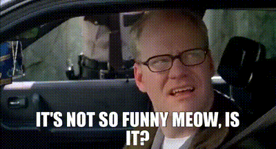 ED3DF0F8-BA34-46B0-875D-C0A3CAFED880.gif