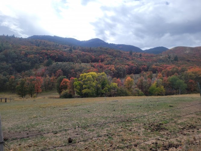 20221001_144622.jpg 20221001_144622.jpg
